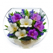 Белые и фиолетовые орхидеи ESO-02